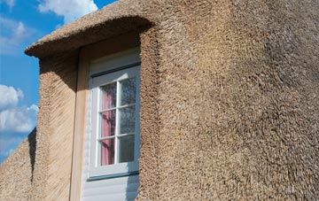 Stepps thatch roof disadvantages